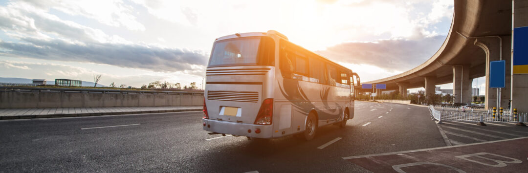 white coach